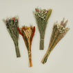Andaluca dried floral family.