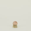 Mushroom Brush
