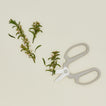 Floral Society floral clippers with cut florals