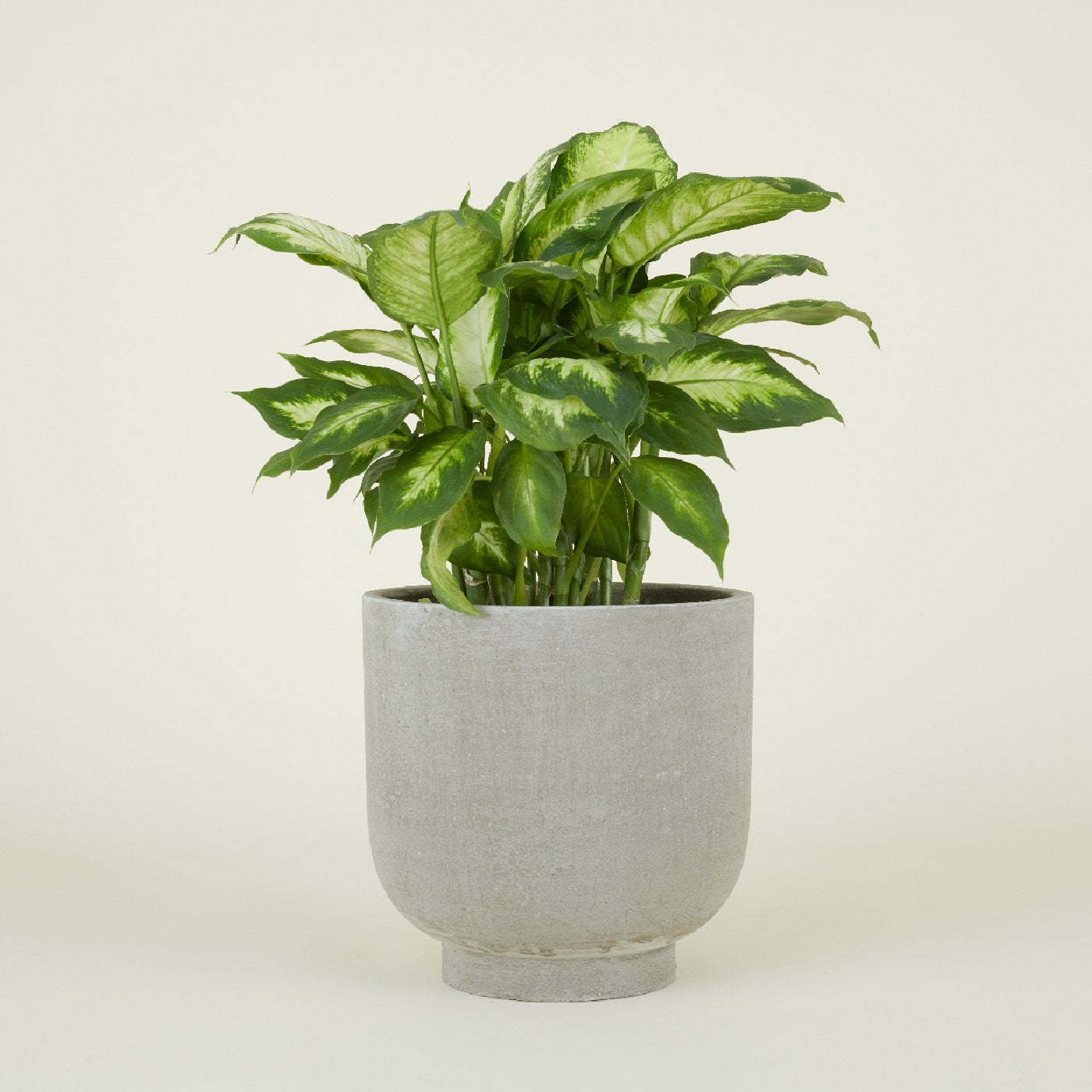 Footed Planter - Fiber Cement