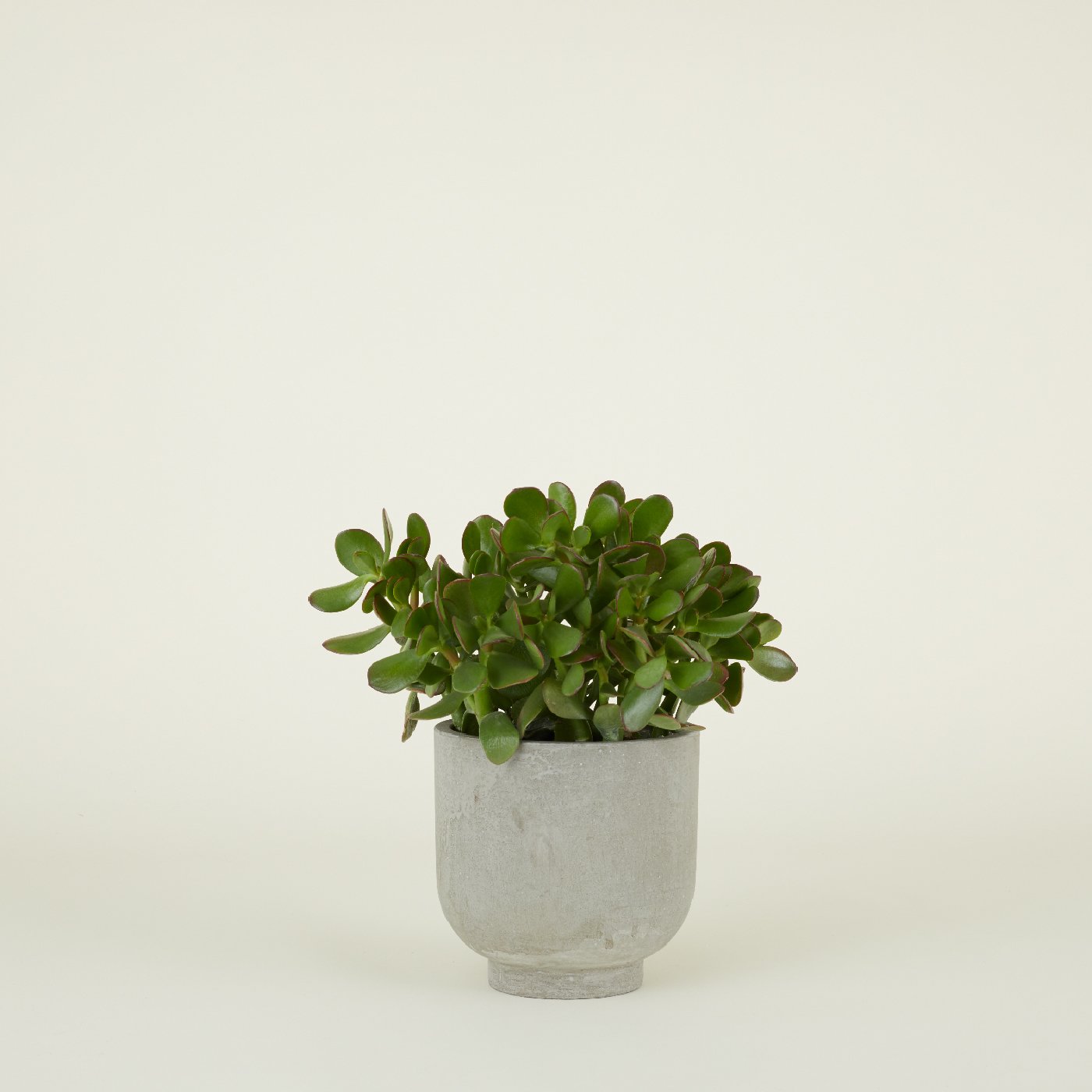 Footed Planter - Fiber Cement