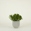 Footed Planter - Fiber Cement