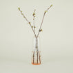 Aurora Pill Vase - Blush