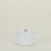 Enameled Pasta Pot